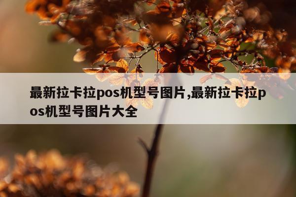 最新拉卡拉pos机型号图片,最新拉卡拉pos机型号图片大全