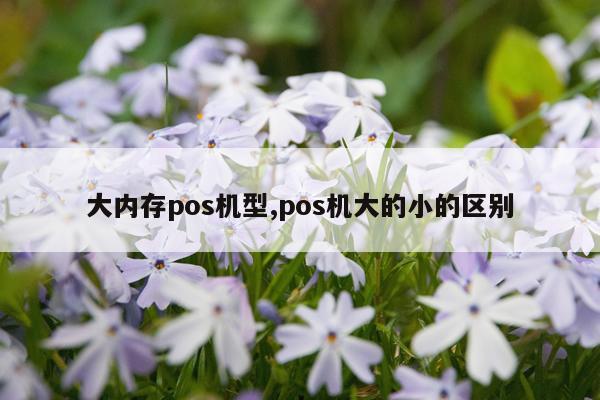 大内存pos机型,pos机大的小的区别