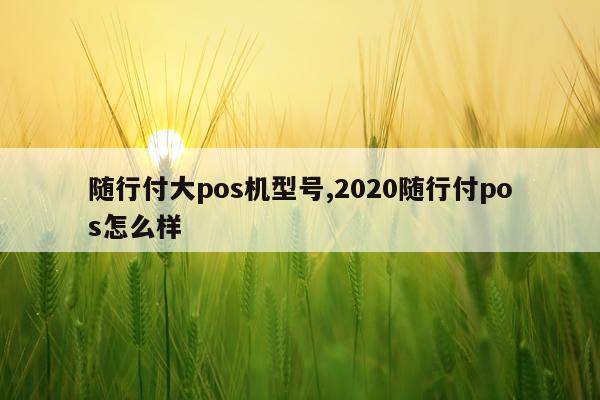 随行付大pos机型号,2020随行付pos怎么样