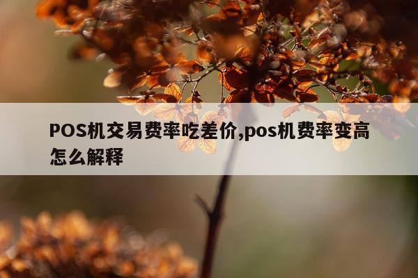 POS机交易费率吃差价,pos机费率变高怎么解释