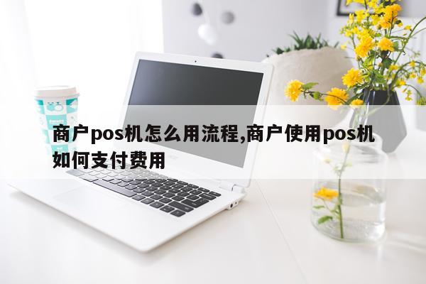 商户pos机怎么用流程,商户使用pos机如何支付费用