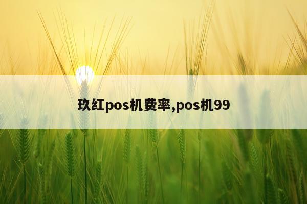 玖红pos机费率,pos机99