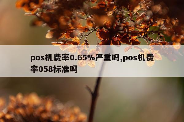 pos机费率0.65%严重吗,pos机费率058标准吗