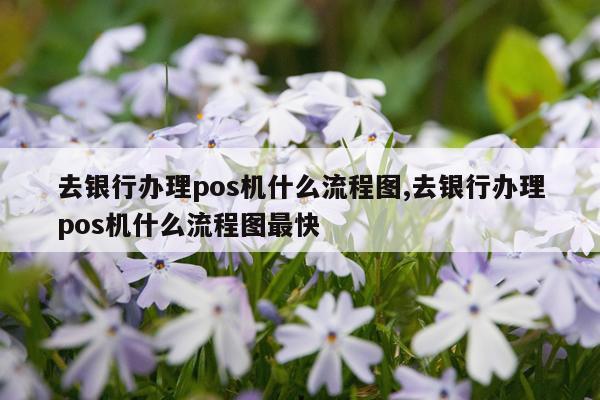去银行办理pos机什么流程图,去银行办理pos机什么流程图最快