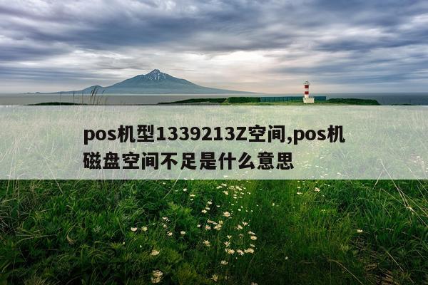 pos机型1339213Z空间,pos机磁盘空间不足是什么意思