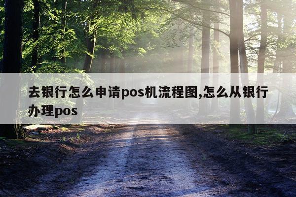 去银行怎么申请pos机流程图,怎么从银行办理pos
