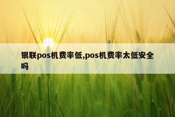 银联pos机费率低,pos机费率太低安全吗