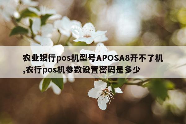 农业银行pos机型号APOSA8开不了机,农行pos机参数设置密码是多少