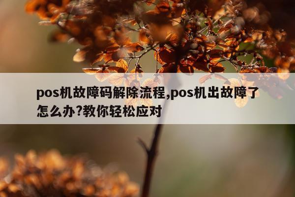 pos机故障码解除流程,pos机出故障了怎么办?教你轻松应对