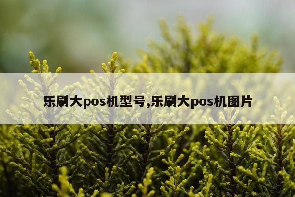 乐刷大pos机型号,乐刷大pos机图片