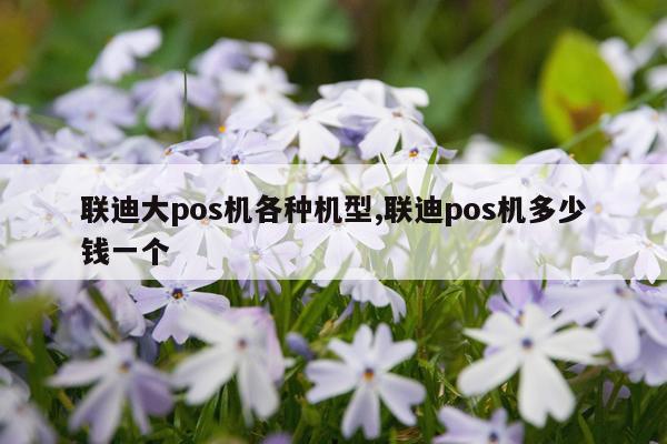 联迪大pos机各种机型,联迪pos机多少钱一个