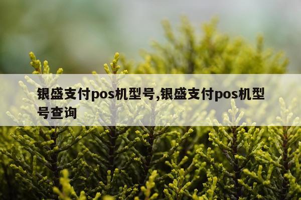 银盛支付pos机型号,银盛支付pos机型号查询