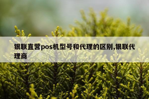 银联直营pos机型号和代理的区别,银联代理商