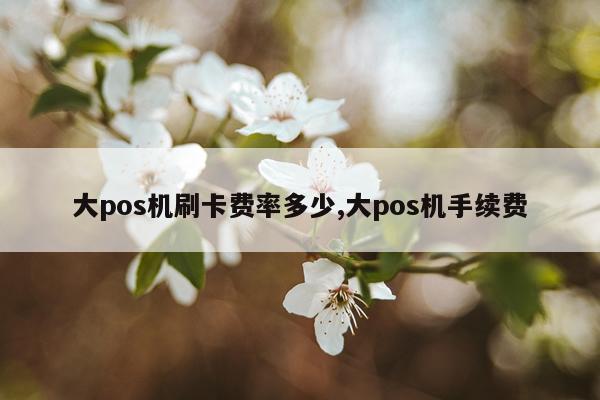 大pos机刷卡费率多少,大pos机手续费