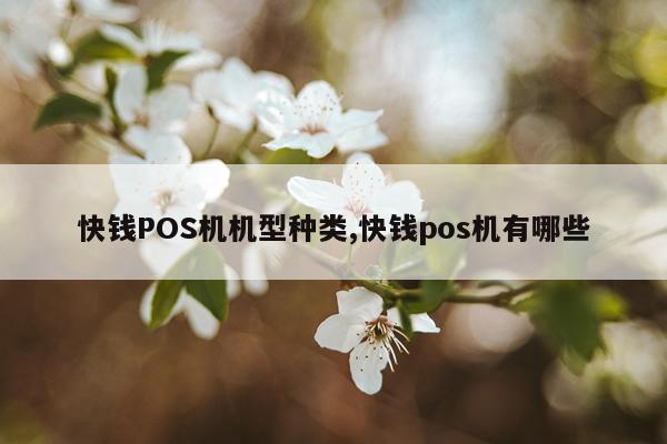 快钱POS机机型种类,快钱pos机有哪些