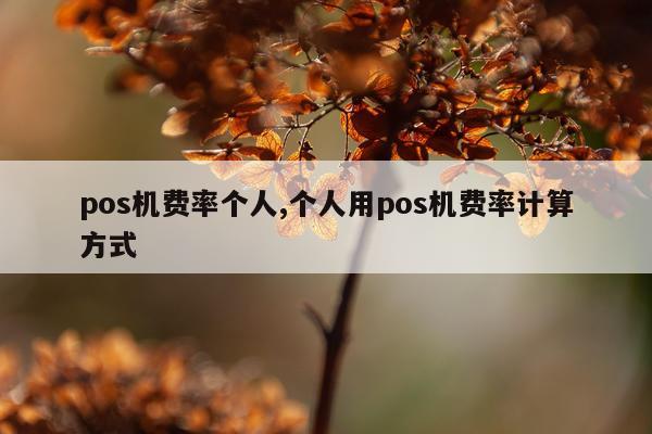 pos机费率个人,个人用pos机费率计算方式