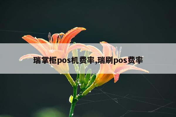 瑞掌柜pos机费率,瑞刷pos费率
