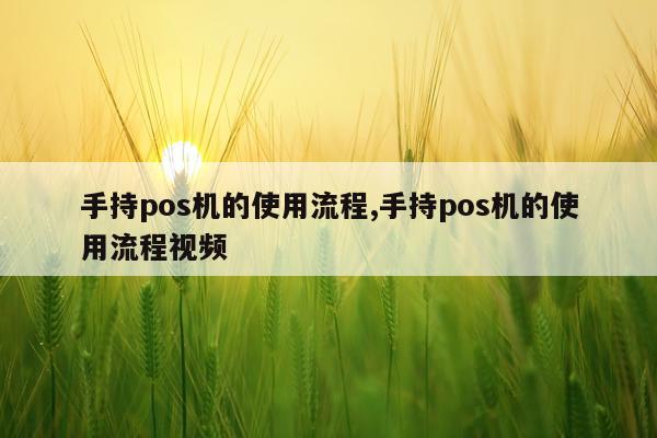 手持pos机的使用流程,手持pos机的使用流程视频
