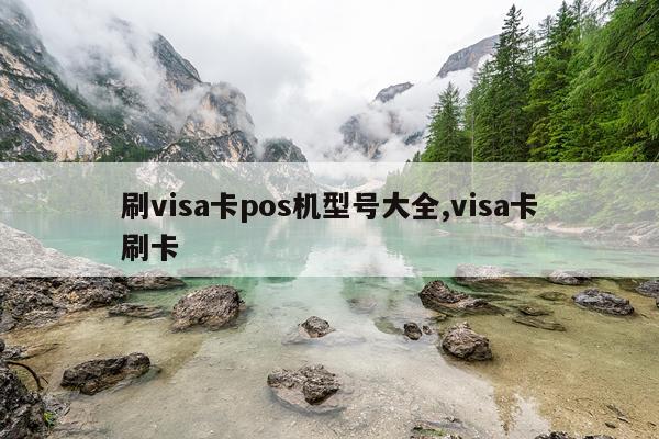 刷visa卡pos机型号大全,visa卡刷卡