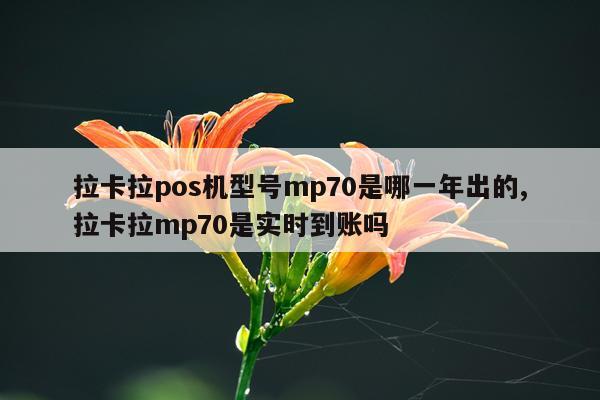 拉卡拉pos机型号mp70是哪一年出的,拉卡拉mp70是实时到账吗