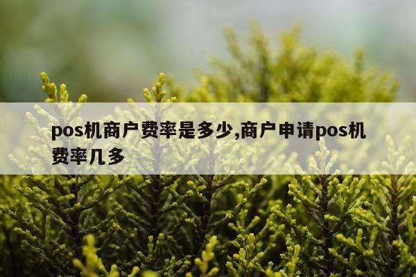 pos机商户费率是多少,商户申请pos机费率几多