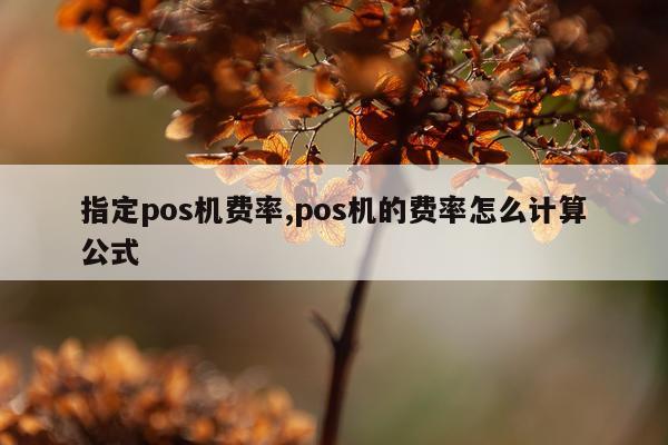 指定pos机费率,pos机的费率怎么计算公式