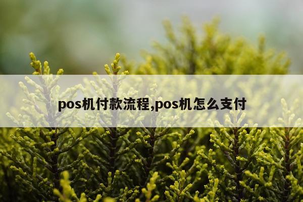 pos机付款流程,pos机怎么支付
