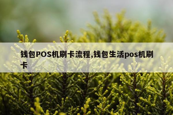 钱包POS机刷卡流程,钱包生活pos机刷卡
