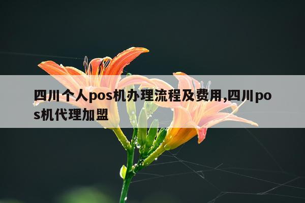 四川个人pos机办理流程及费用,四川pos机代理加盟