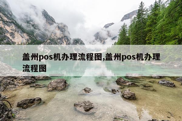 盖州pos机办理流程图,盖州pos机办理流程图