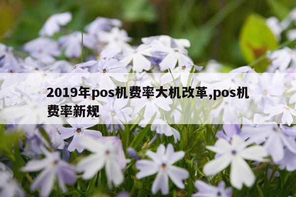 2019年pos机费率大机改革,pos机费率新规