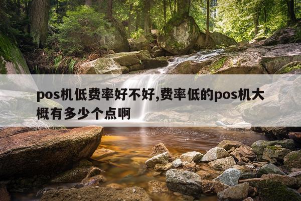 pos机低费率好不好,费率低的pos机大概有多少个点啊