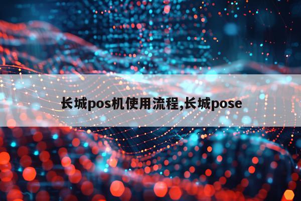 长城pos机使用流程,长城pose
