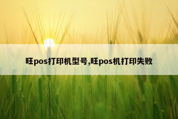 旺pos打印机型号,旺pos机打印失败