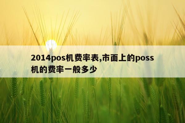 2014pos机费率表,市面上的poss机的费率一般多少