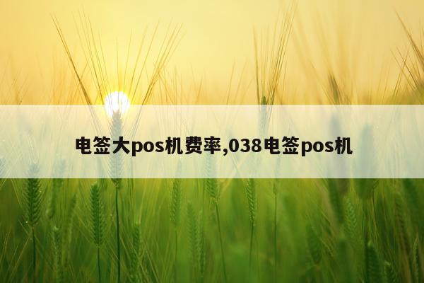 电签大pos机费率,038电签pos机
