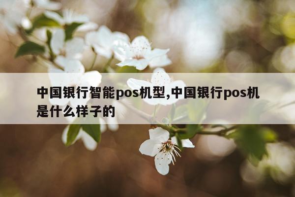 中国银行智能pos机型,中国银行pos机是什么样子的
