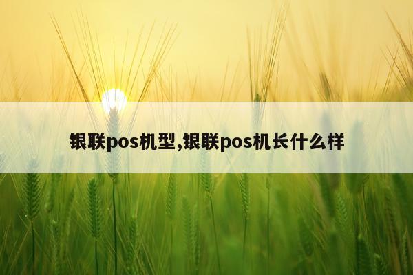 银联pos机型,银联pos机长什么样