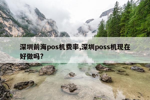 深圳前海pos机费率,深圳poss机现在好做吗?