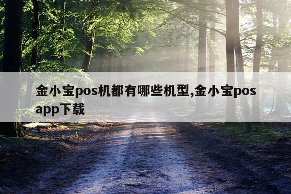 金小宝pos机都有哪些机型,金小宝posapp下载