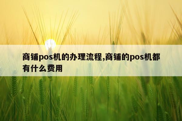商铺pos机的办理流程,商铺的pos机都有什么费用