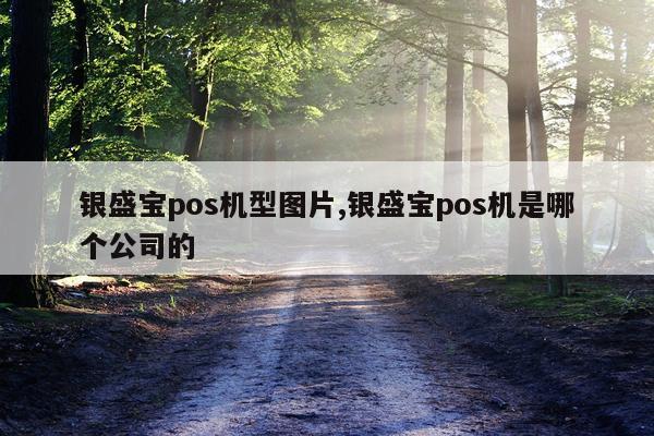 银盛宝pos机型图片,银盛宝pos机是哪个公司的