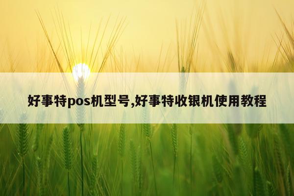 好事特pos机型号,好事特收银机使用教程