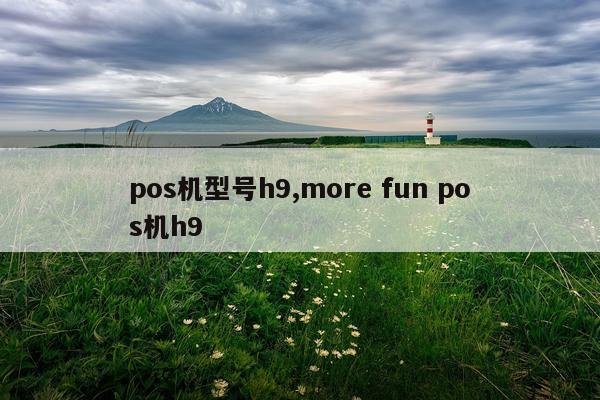pos机型号h9,more fun pos机h9