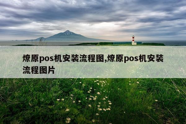 燎原pos机安装流程图,燎原pos机安装流程图片