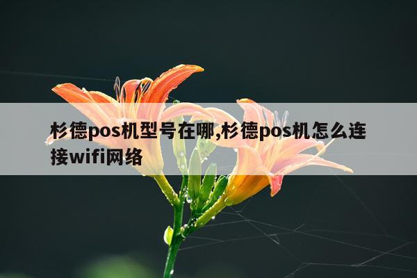 杉德pos机型号在哪,杉德pos机怎么连接wifi网络