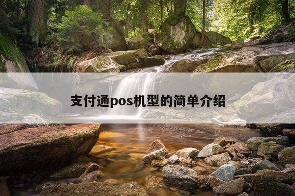 支付通pos机型的简单介绍