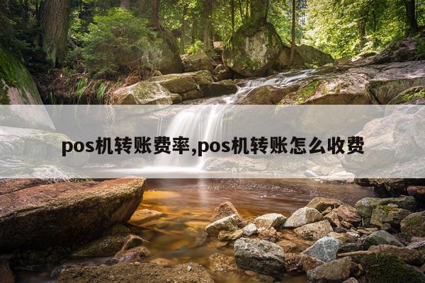 pos机转账费率,pos机转账怎么收费