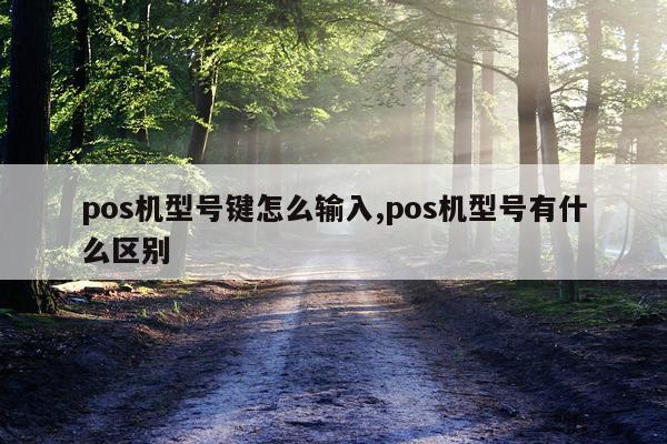 pos机型号键怎么输入,pos机型号有什么区别