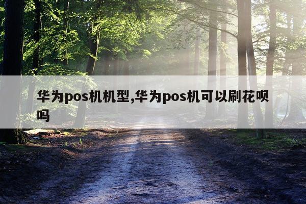 华为pos机机型,华为pos机可以刷花呗吗